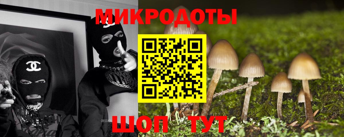 Псилоцибиновые грибы Cubensis Магнитогорск